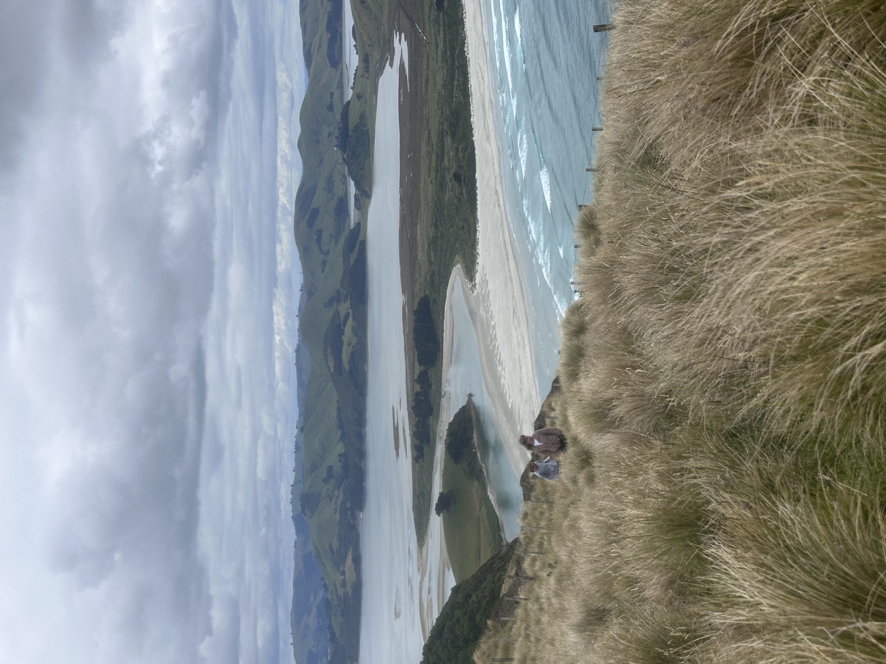 Looking out over the Otago Peninsula coastline — tussock hills, inlet and open sea, near Dunedin, New Zealand